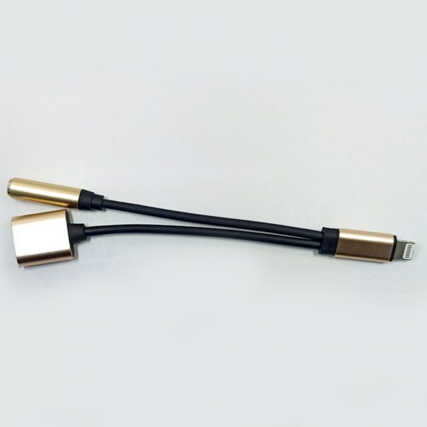 mrit-usb-cables-lightning-to3.5mm-headphone-jack-top-view-gold-singapore